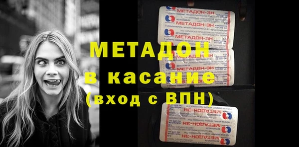 индика Бородино