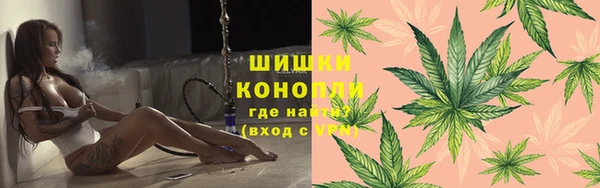 стафф Новозыбков