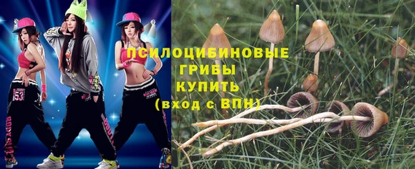 гидра Нефтегорск