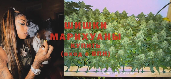 круглые Болотное