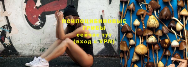 гидра Нефтегорск