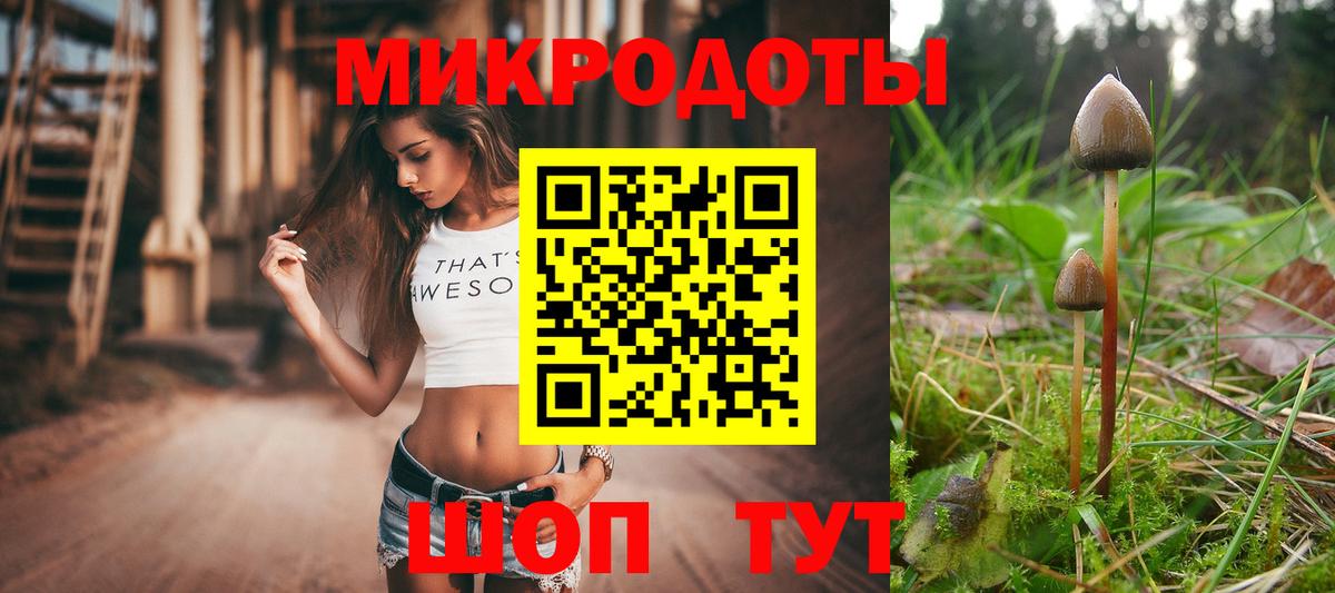 Галлюциногенные грибы MAGIC MUSHROOMS Качканар