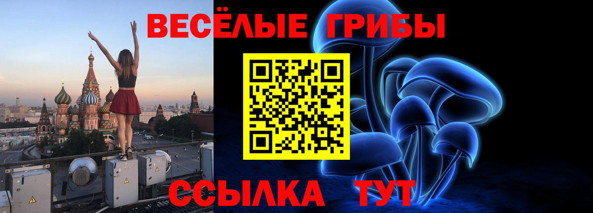 продажа наркотиков  Качканар  Галлюциногенные грибы прущие грибы  Псилоцибиновые грибы Cubensis 