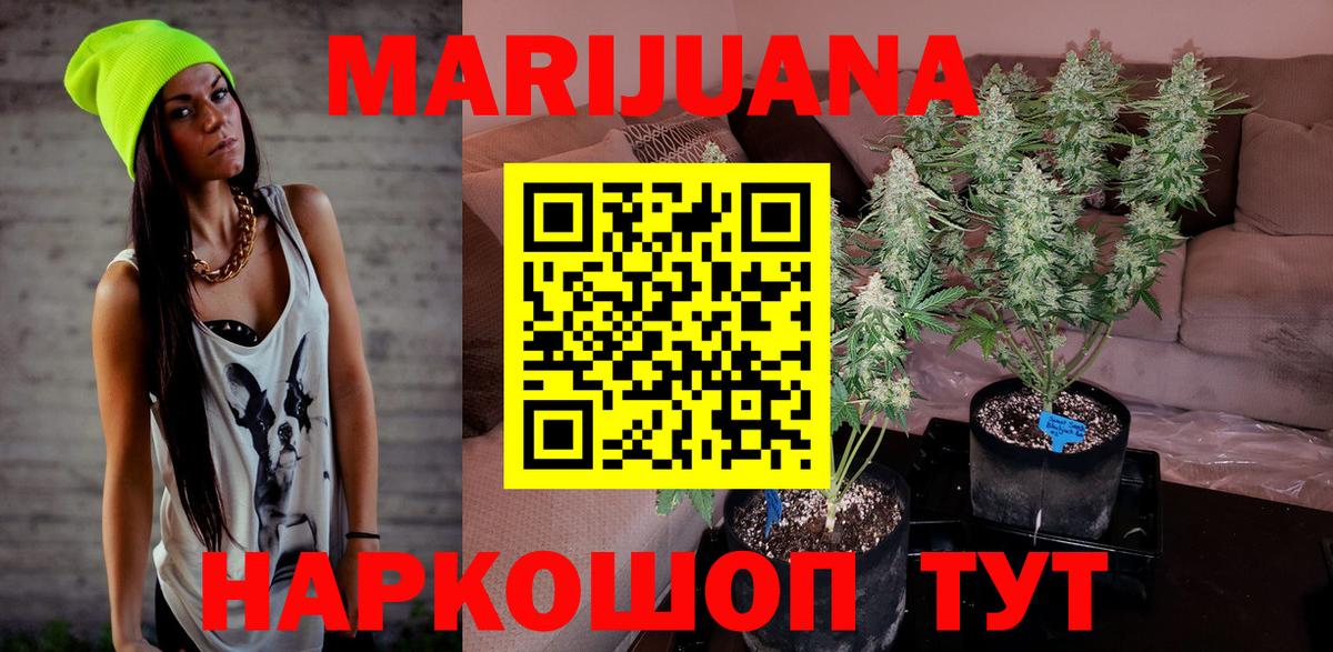 Качканар  Канабис планчик  Бошки Шишки White Widow  Конопля VHQ  Вход с VPN 